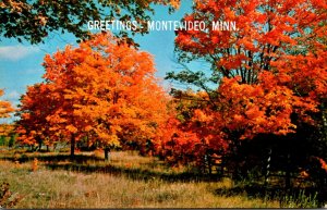 Minnesota Montevidei Greetings Autumn Scene 1969