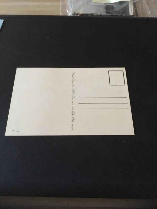 Vtg Postcard: Seashells In California