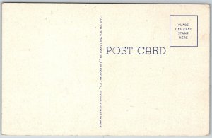 Point Pleasant West Virginia 1940s Postcard Cornstalk Monument Court House Park