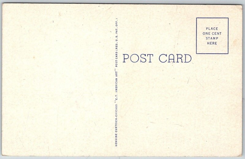 Point Pleasant West Virginia 1940s Postcard Cornstalk Monument Court House Park