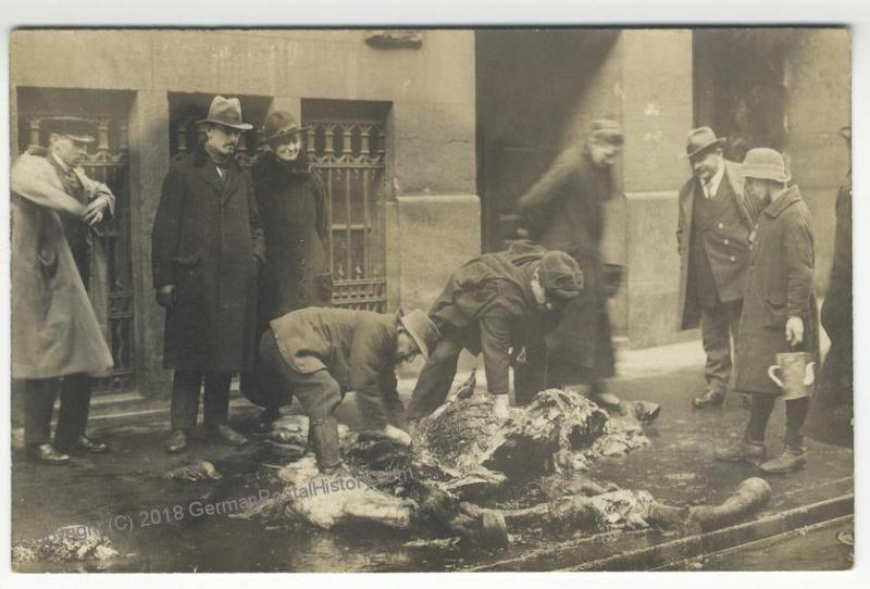 German Revolution 1919 Munich Freikorps Dead Horse Strassenkampf RPPC 51903