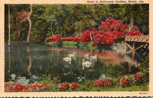 Alabama Mobile Beautiful Scene In Bellingrath Gardens Curteich