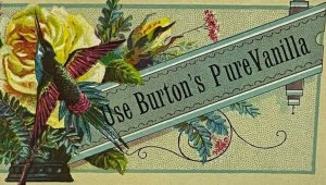 Burton's Pure Vanilla Brooklyn NY Hummingbird Flower Johnston Bros Trade Card