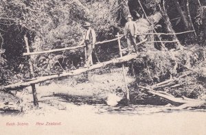 Bush Scene New Zealand Antique Postcard