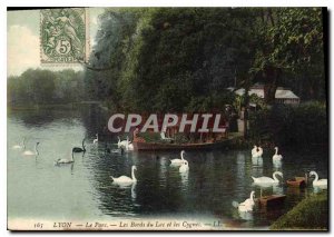 Old Postcard Lyon Park The Banks Lake and Swans