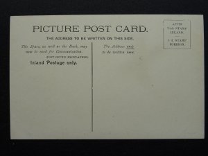 Wales TREFRIW / TREFRIEW Steamboat & Pier c1904 Postcard