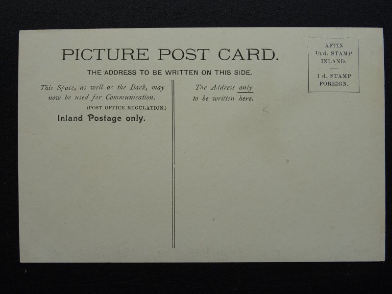 Wales TREFRIW / TREFRIEW Steamboat & Pier c1904 Postcard