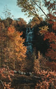 Vintage Postcard Chittenango Falls Waterfalls Syracuse New York N.Y. Nature