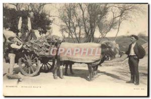 Old Postcard Folklore Basque Biarritz hitch Oxen