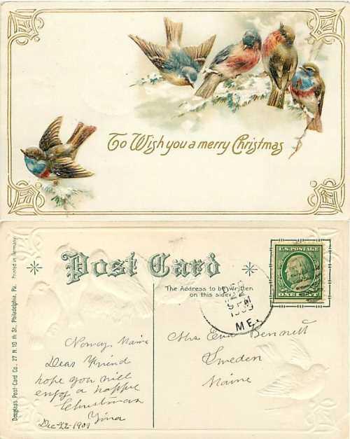 Cute Birds, 1909 Wish You a Merry Christmas, Embossed Divided Back