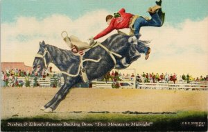 'Five Minutes To Alaska' Nesbitt & Elliott's Famous Bucking Bronc Postcard G22