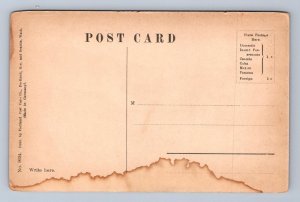 PINE CREEK BELOW DISCOWERY ATLIN BRITISH COLUMBIA CANADA POSTCARD (c.1910)