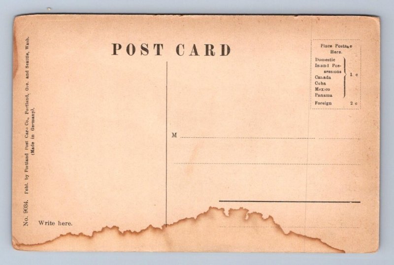 PINE CREEK BELOW DISCOWERY ATLIN BRITISH COLUMBIA CANADA POSTCARD (c.1910)