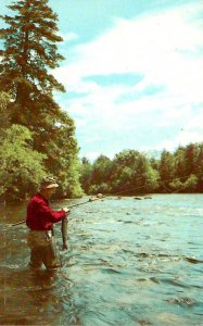 Fishing Scene Fly Fishing Landing A Good One