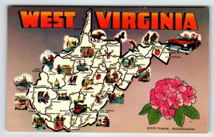 Postcard Greetings From West Virginia Map Chrome State Flower Rhododendron WV