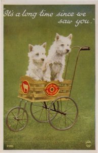 Dogs Advertising Fresh Farm Dairy Milk Cart Transportation Old Postcard