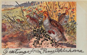 G62/ Perry Oklahoma Postcard 1908 Glitter Greetings from.. Quail