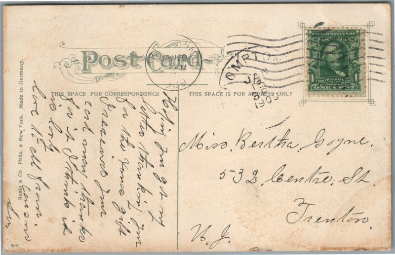 CALIFORNIA POPPY FIELDS ANTIQUE POSTCARD