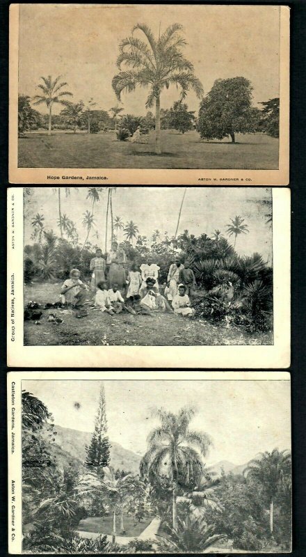 J30 Jamaica 3 Pcs.Group of Natives,Hope Gardens, Castleton Gardens, A.W. Gardner