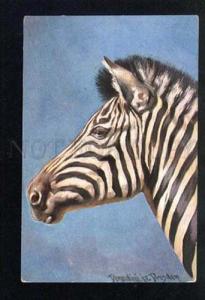 3035413 Head of ZEBRA. By DONADINI Vintage PC