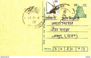 India Postal Stationery Tiger 25 Blackbuck