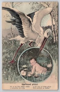 Stork Ready To Pluck Baby From Lily Pad Pond Postcard B44