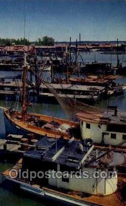 Shrimp Boats, Gulf Coast, FL, USA Fishing Unused 