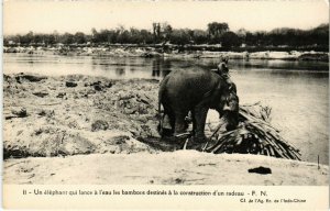 CPA AK VIETNAM - Un éléphant qui lance a l'eau les bambous (84937)