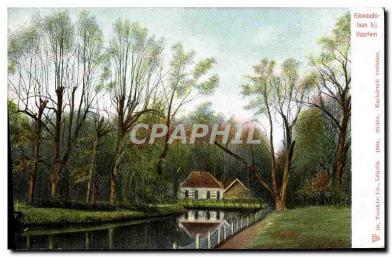 Postcard Old Elswouds Laan Bij Haarlem