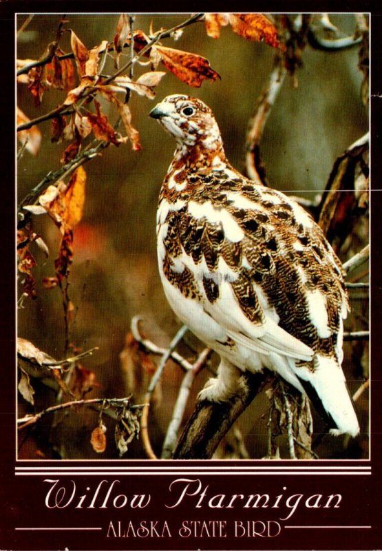 Alaska State Bird Willow Ptarmigan 1995