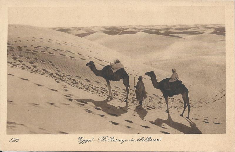 Egypt:  The Passage in the Desert, Early Postcard Showing Camels, Unused