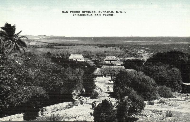 curacao, N.W.I., San Pedro Springs (1940s) 