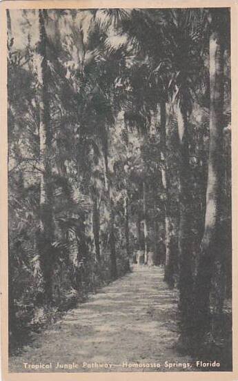 Florida Homosassa Springs Tropical Jungle Pathway