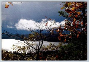 View From Fire Tower, Dorset, Ontario, Chrome Postcard