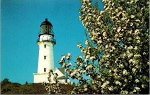 Vtg Cape Elizabeth Maine ME Two Lights Lighthouse Postcard