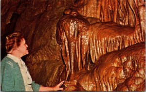 Elephants Head Formation Cathedral Room Onyx Cave Postcard VTG UNP Dexter Unused 