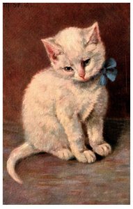 Cat  , White Kitten signed M.Storks