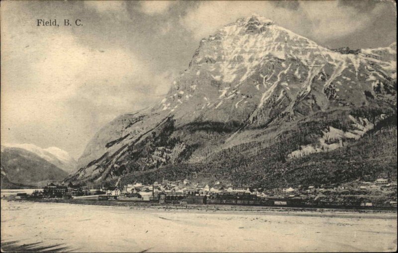 Field British Columbia BC Snow Capped Mountain Harbor Vintage Postcard
