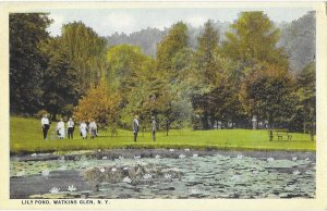 People Viewing the Lily Pond in Watkins Glen New York