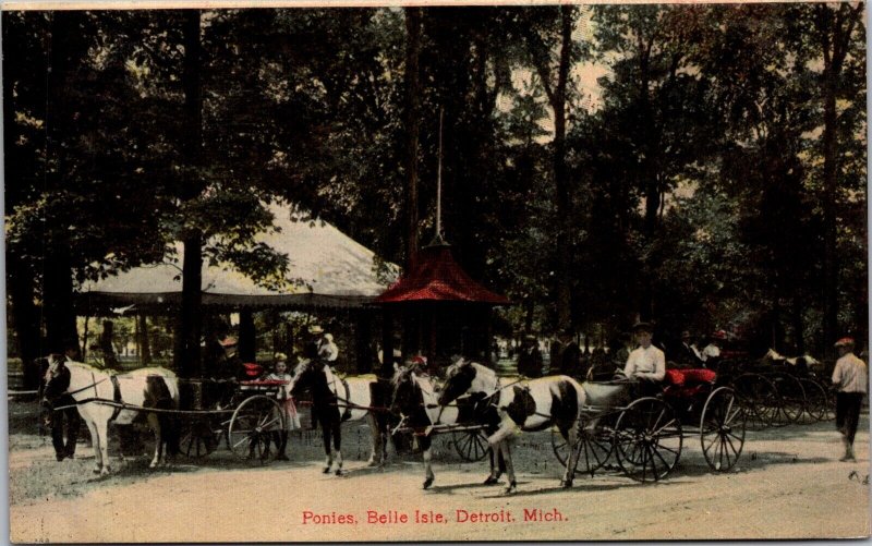 Postcard Ponies Horses Pulling Carts at Belle Island in Detroit, Michigan
