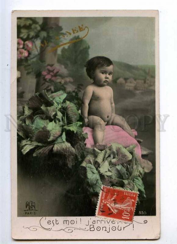 234064 NUDE Baby in cabbage Vintage PHOTO tinted French PC