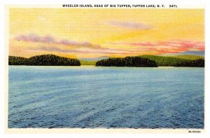Postcard PANORAMIC SCENE Tupper Lake New York NY AP4368