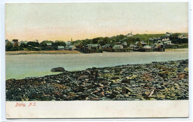 Panorama Digby Nova Scotia Canada 1910c postcard