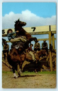 PENDLETON, OR Oregon  RODEO SCENE at the ROUND-UP 1941 Umatilla County Postcard