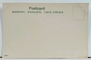 Sweden Dalslands Canal c1905  Postcard L18