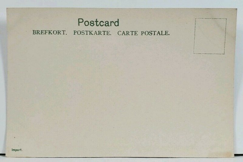 Sweden Dalslands Canal c1905  Postcard L18