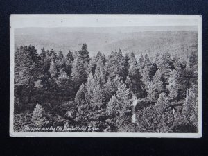 Surrey North Downs RAMMOOR & BOXHILL from Leith Hill Tower - Old Postcard