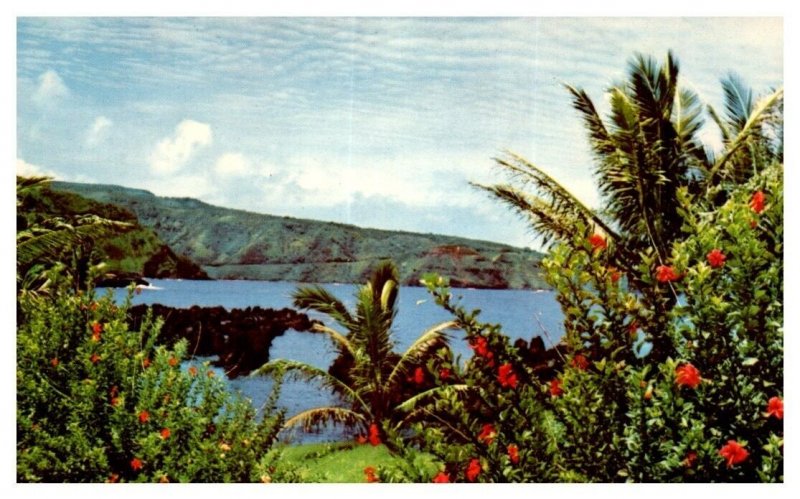 Maui Scenic Drive on the Coastal Road to Hana Hawaii Postcard