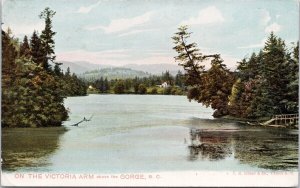 Victoria BC Victoria Arm above Gorge British Columbia Hibben Postcard H31