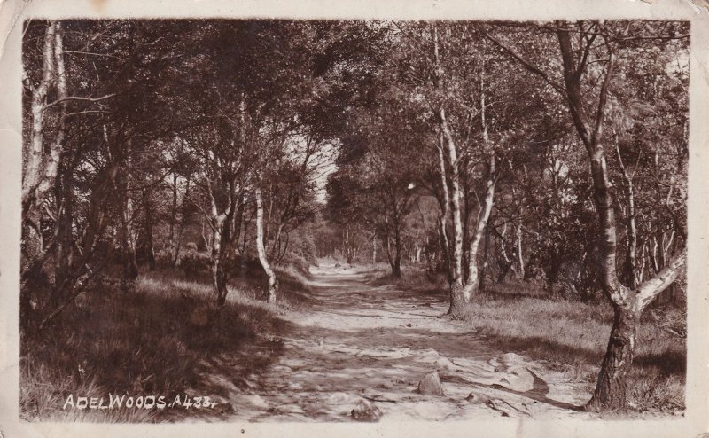 Adelwood Leeds Forest Yorkshire Old Real Photo Postcard